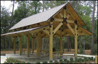 Wood Forest